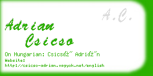 adrian csicso business card